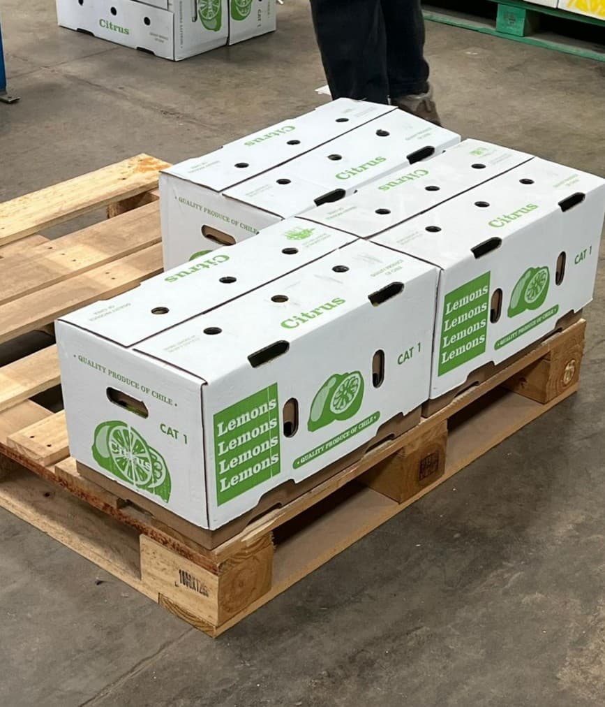 Galería Agro South West - Cítricos 14